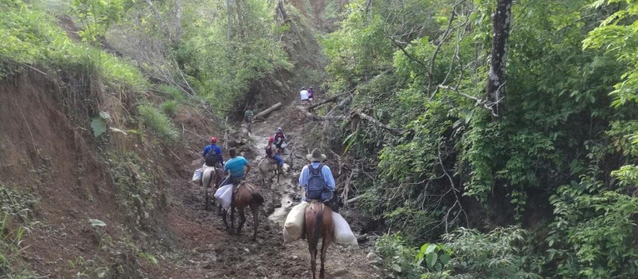 Prevenir embarazos adolescentes en la selva costarricense