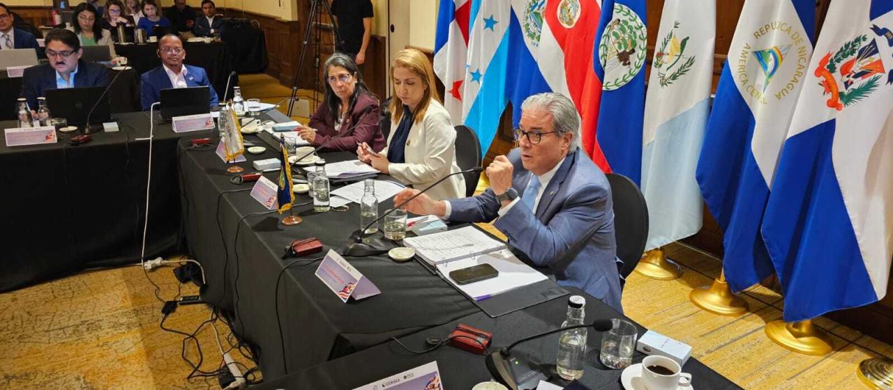 COMISCA Reaffirms Its Commitment to RMEI and Malaria Elimination
