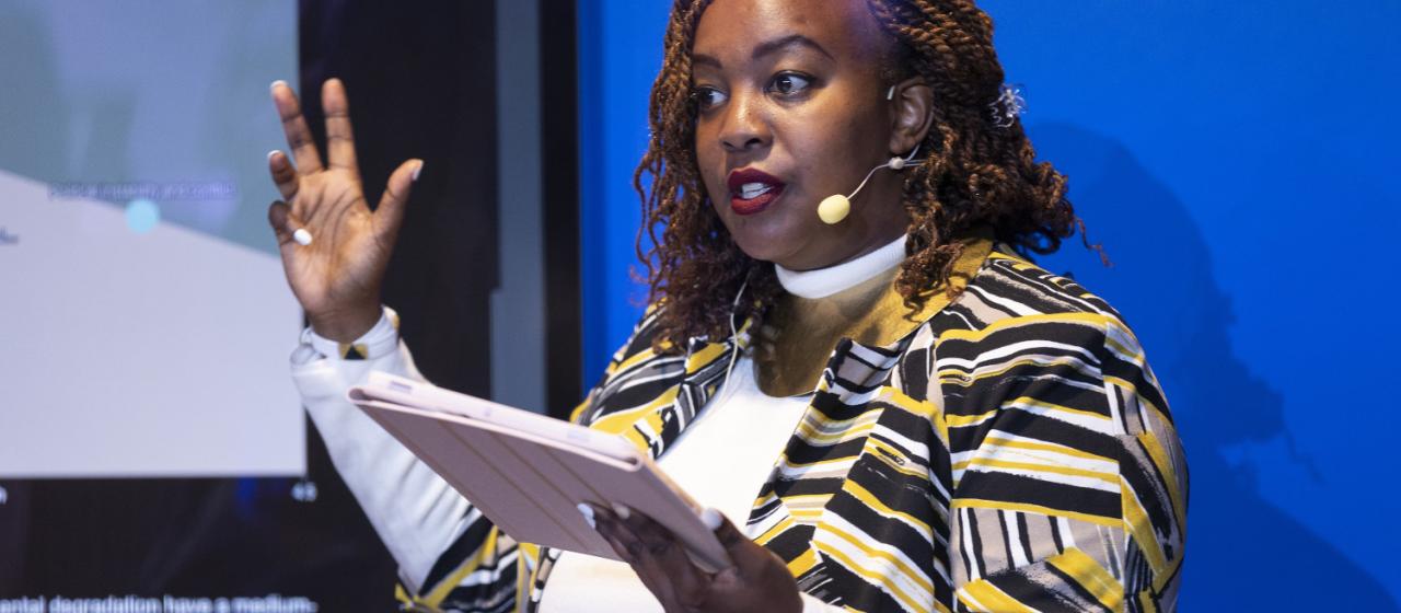 A Conversation with Angela Gichaga: Lessons from the SMI Model for Africa’s Experience