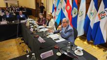 COMISCA Reaffirms Its Commitment to RMEI and Malaria Elimination
